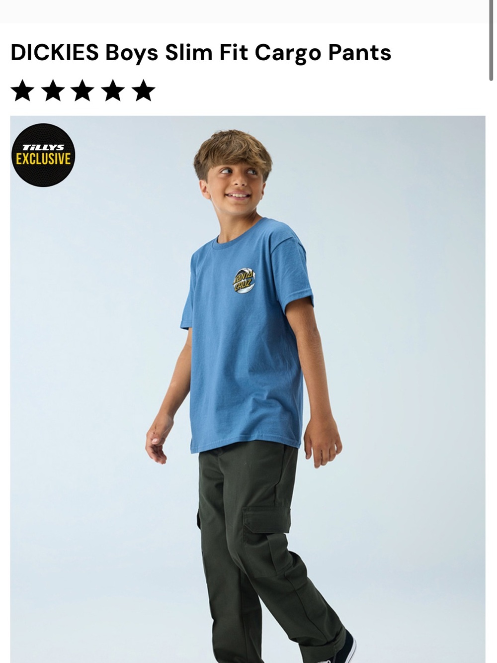 Dickies cargo pants